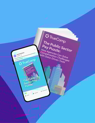 public_sector_pay_puzzle